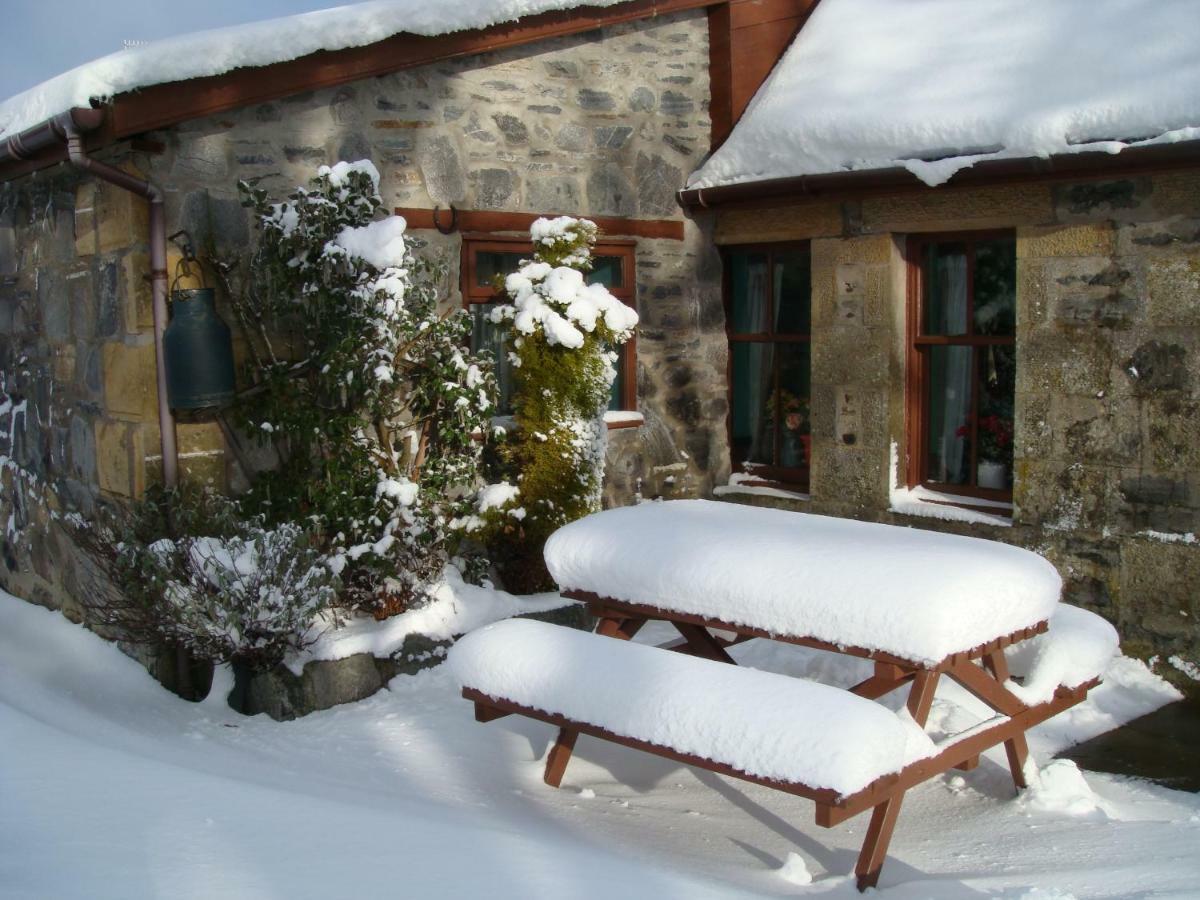 Islay Cottage, Meadowside, Kincraig, Near Kingussie Exterior photo
